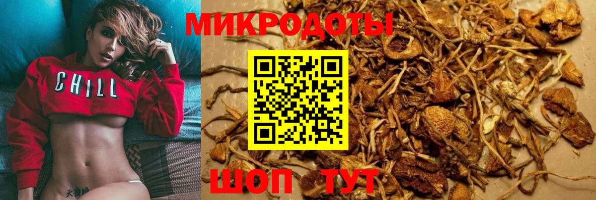 Псилоцибиновые грибы мицелий Москва